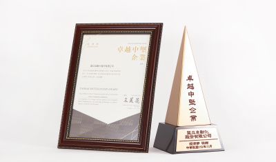 盟立集团荣获第6届卓越中坚企业